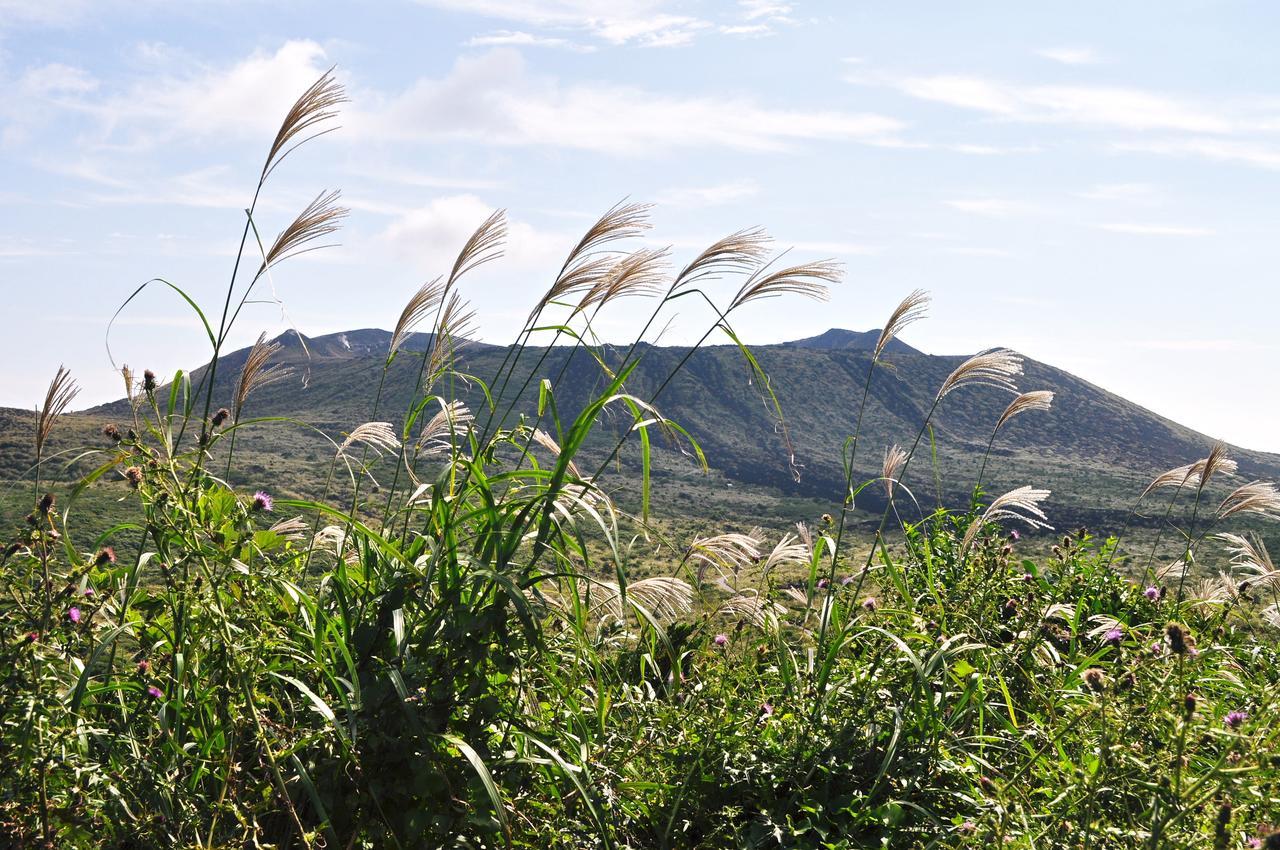 Villa ホライゾン Oshima Esterno foto