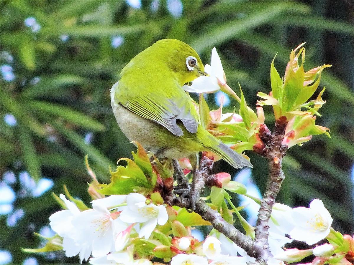 Villa ホライゾン Oshima Esterno foto