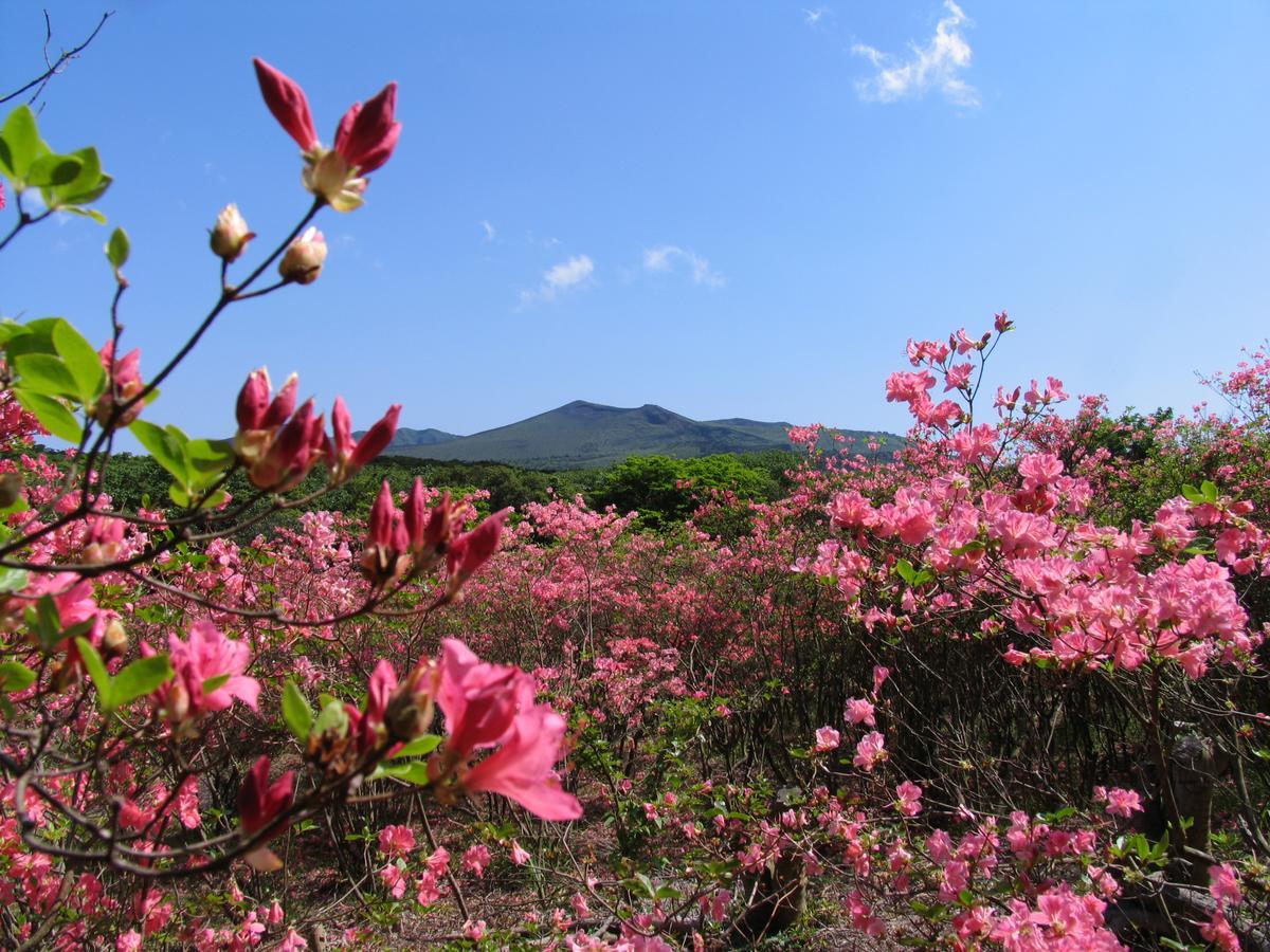 Villa ホライゾン Oshima Esterno foto